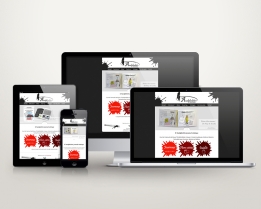 Site Web l'Analphabète - journal satirique