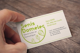Carte de visite de Senis Domelec